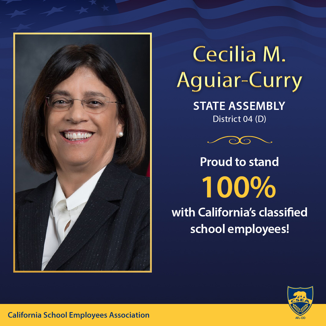 😁I am proud to earn a 100% score on the @CSEA_Now 2023 Legislative Scorecard. Investing in classified employees = Investing in our students’ future! #ThankYouCSEA