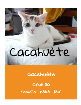 @ladyteruki@🐘.social tweet media