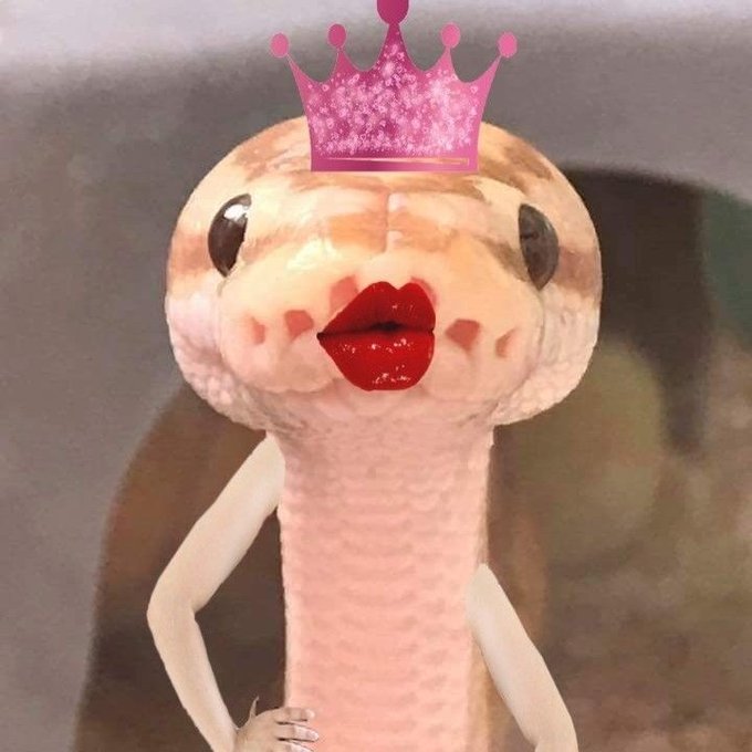 #NuevaFotoDePerfil https://t.co/wAwcaXXgKS<a href="/tag/nuevafotodeperfil"class="tags">#NuevaFotoDePerfil</a>