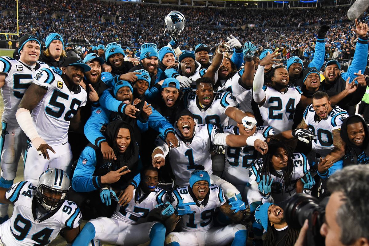 2015 Carolina Panthers are goated
