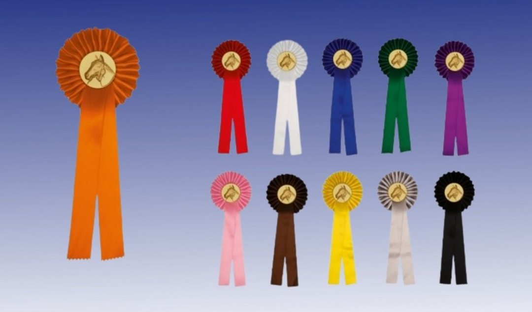 BOUMAN_SPORT's tweet photo. #Rozetten voor #dressuur- en/of springwedstrijden nodig? Wij leveren ze in veel kleuren en uitvoeringen vanaf € 1.30 ex btw: https://t.co/aitkR9rD54 Opdruk op de flap en logo ipv paardenhoofd ook mogelijk; op aanvraag. #bedrukterozetten #paardensport #rozettenbestellen #manege https://t.co/HWKlsjyf0m