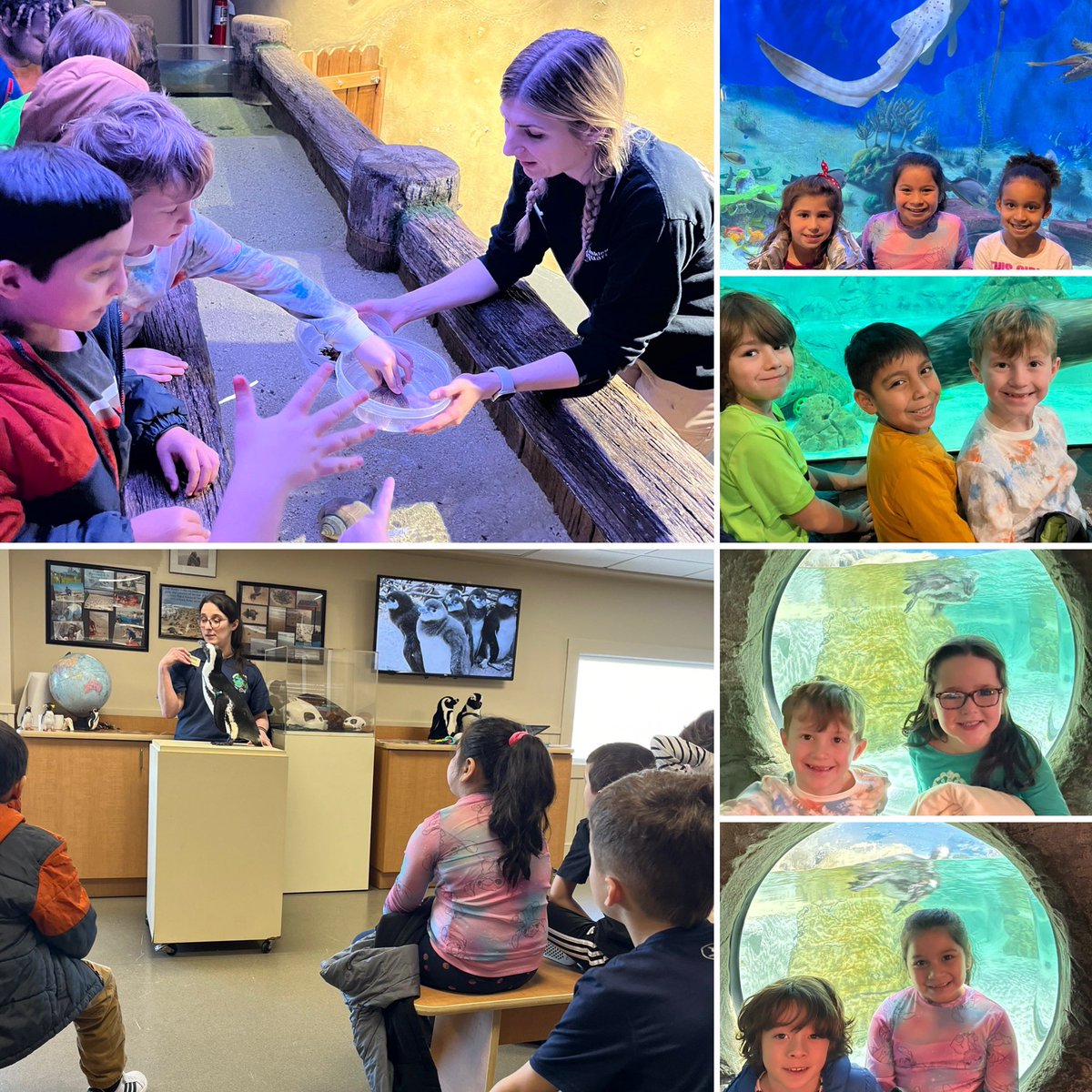 Tylette Miller tweet media