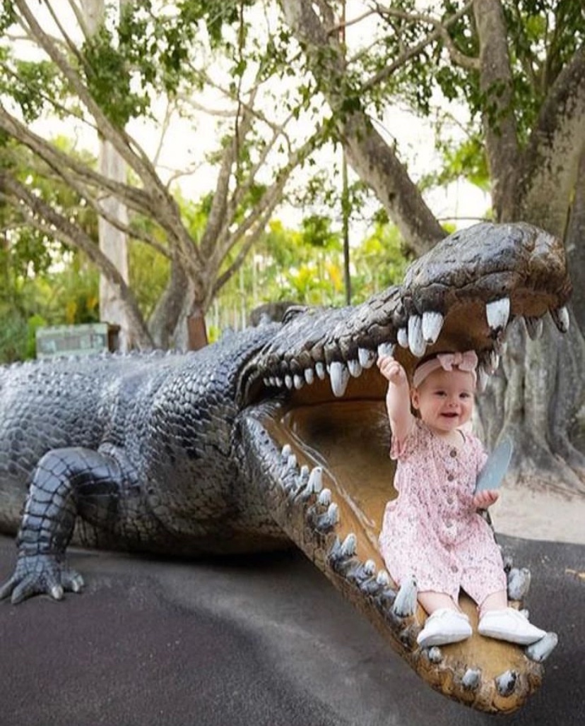 ShesHisGravity's tweet photo. November 2021 vs. January 2024 🐊
I love watching our beautiful girl grow up. 🩷 https://t.co/RC4LvwxT7D