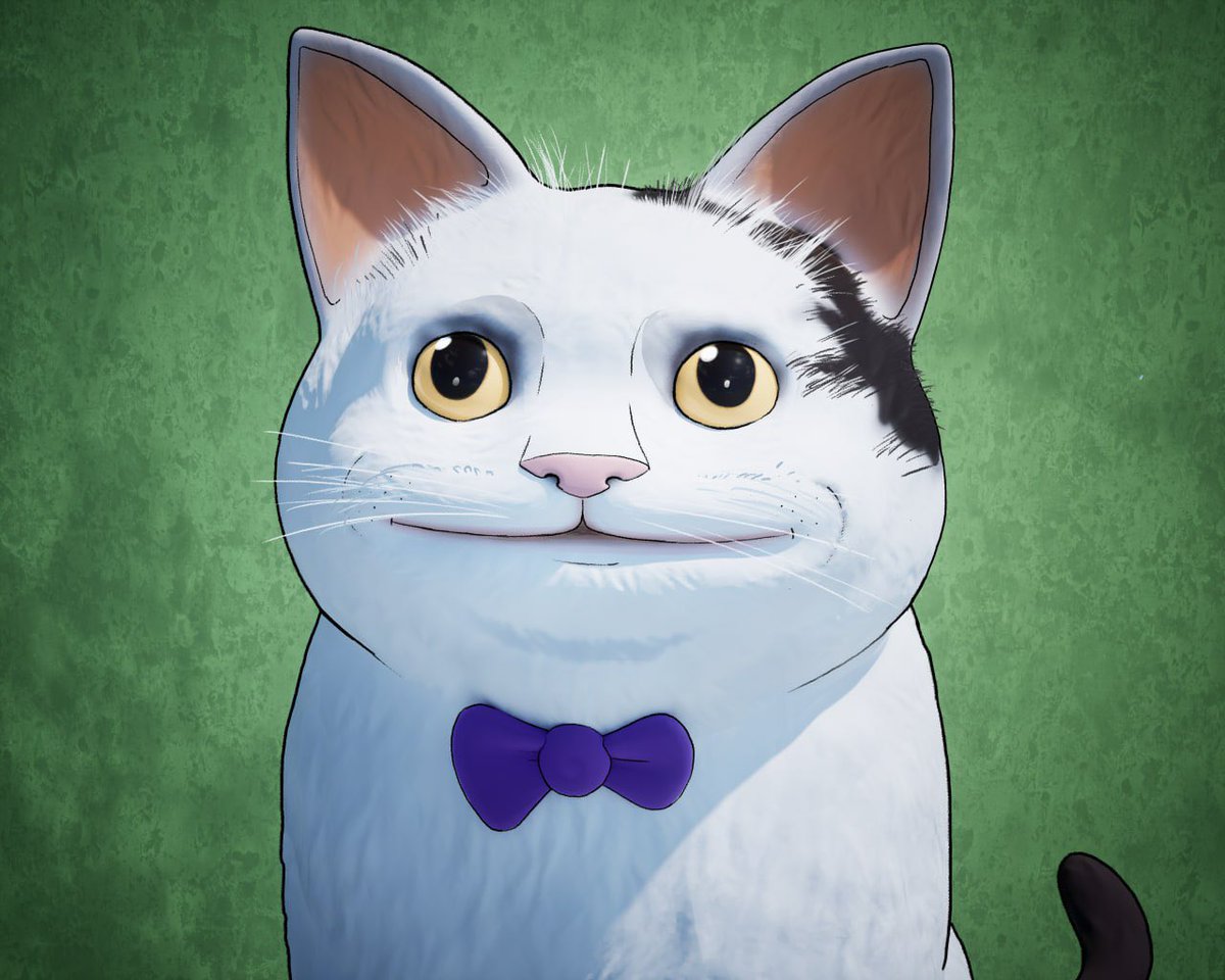 Yourpop8's tweet photo. There is a new cat on $SOL and he’s real polite. $OLLIE has arrived. DYOR as always, but I’m really liking how things are looking. I initially aped around $600k market cap, maybe a little lower, and it’s currently at $3.2m. @TickerisOllie 

This looks to be next. 

SEND the kitty and check out the OG meme