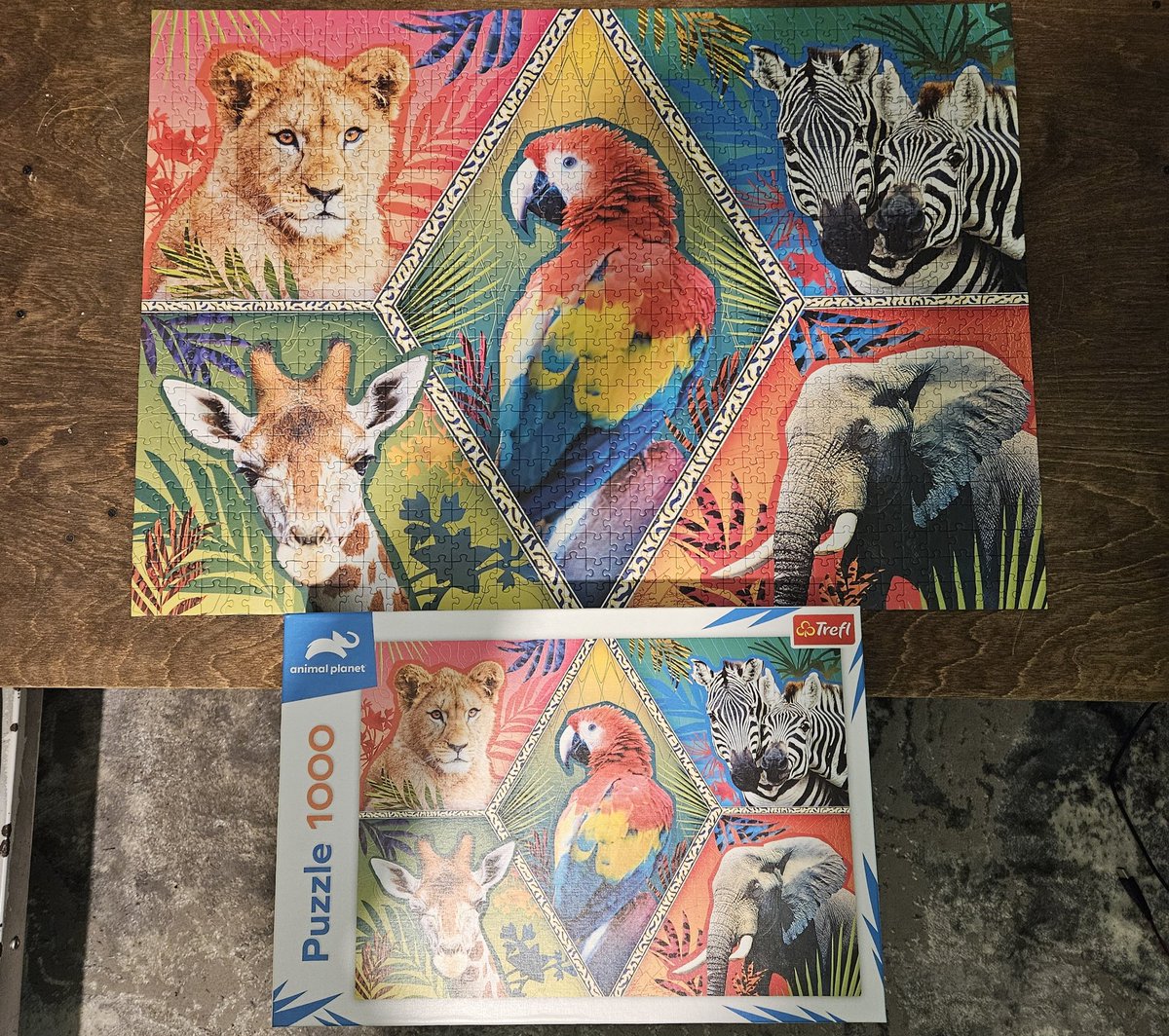 TC_UPG2015's tweet photo. FINISHED THIS BEAUTIFUL PUZZLE 😍
ONTO THE NEXT ONE
😂😂😂😂
#jigsawpuzzle #1000pc #trefl #puzzles #exoticanimals #jigsaw
@Coastie @D4KSH_05 @DeanoBeano @KuraiTora13 @xxPurpNurpxx @Tea_Manuel https://t.co/0Sz0ZRW0WQ