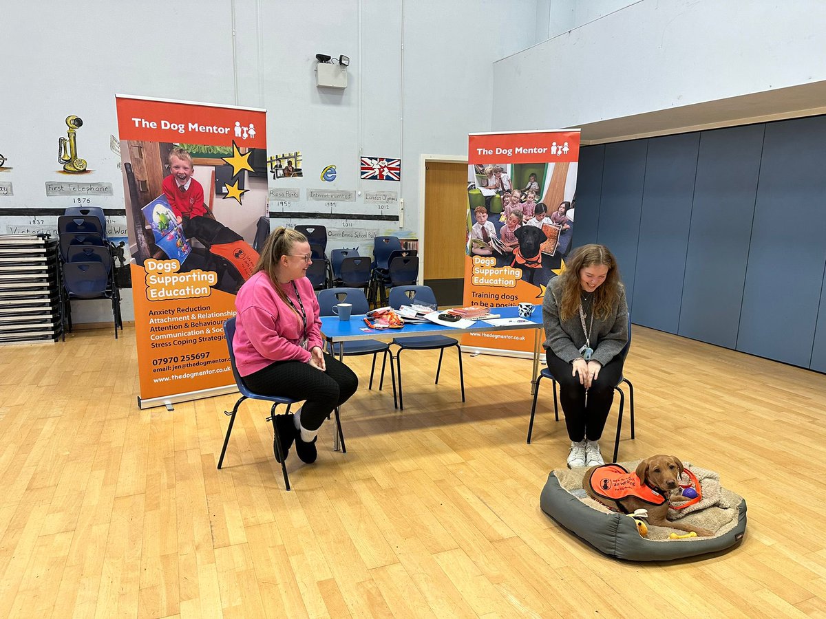 The Dog Mentor tweet media