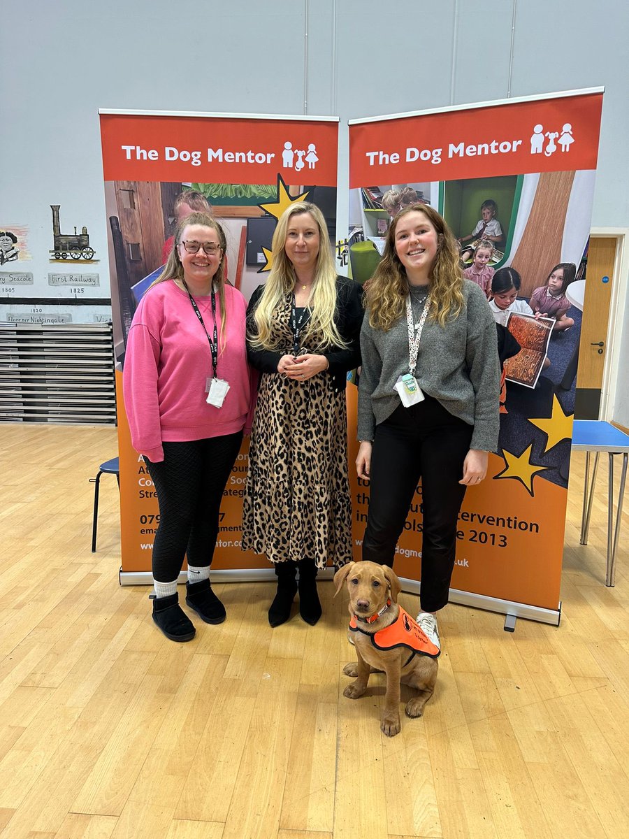 The Dog Mentor tweet media