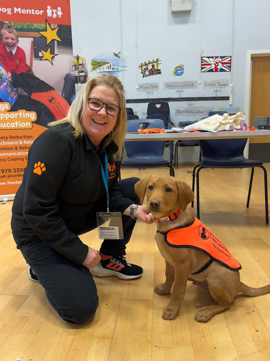 The Dog Mentor tweet media