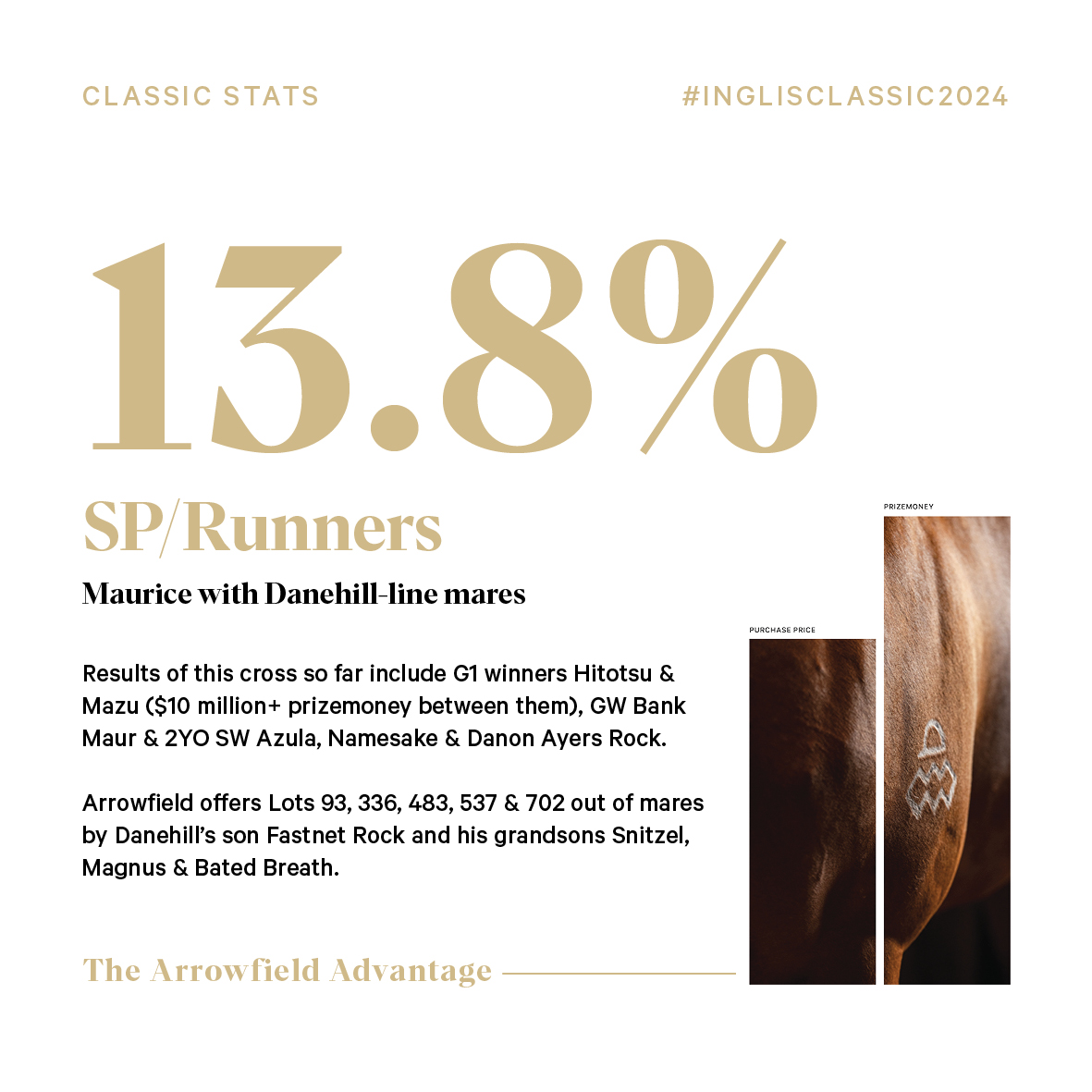 ArrowfieldStud's tweet photo. $10 million+ prizemoney and 13.8% SP/Runners is all the evidence you need that this cross works!
#classicstats #inglisclassic #arrowfield #thearrowfieldadvantage https://t.co/Oi8F8owquP