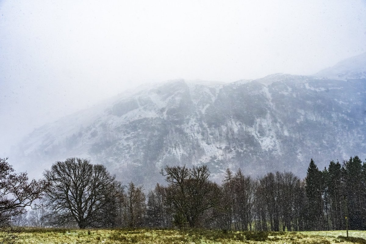 MatthewPain's tweet image. “The snow’s coming down thick. What do you bet were snowed up tomorrow?” 

A very snowy walk at Aira Force/Ullswater this morning. My poor camera wasn’t having much fun out there! I’m somewhat impressed with the handheld long exposure - well done Sony!