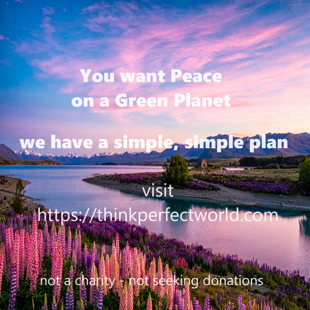 startpeacenow's tweet photo. https://t.co/kd4fThVTng