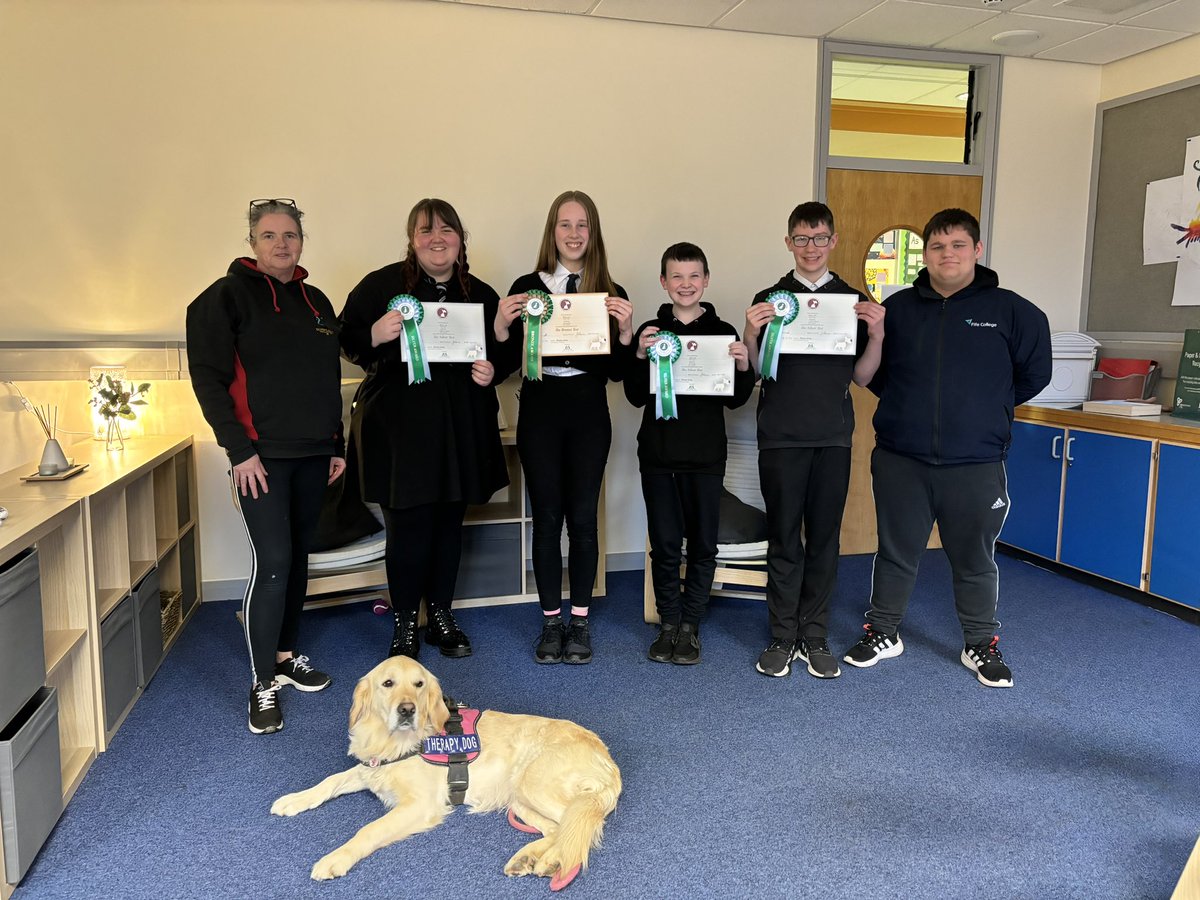 Bella the Therapy Dog tweet media