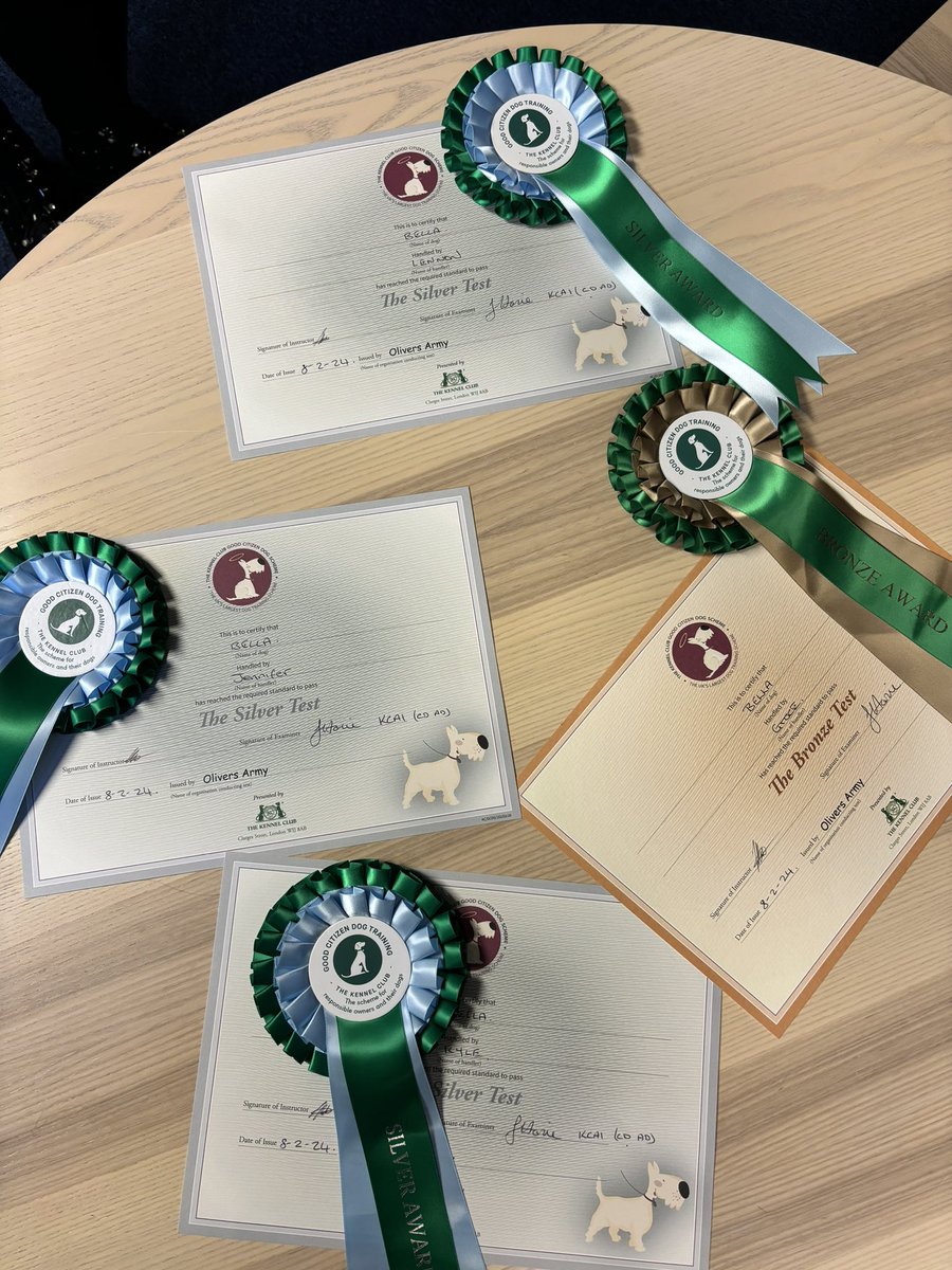 Bella the Therapy Dog tweet media