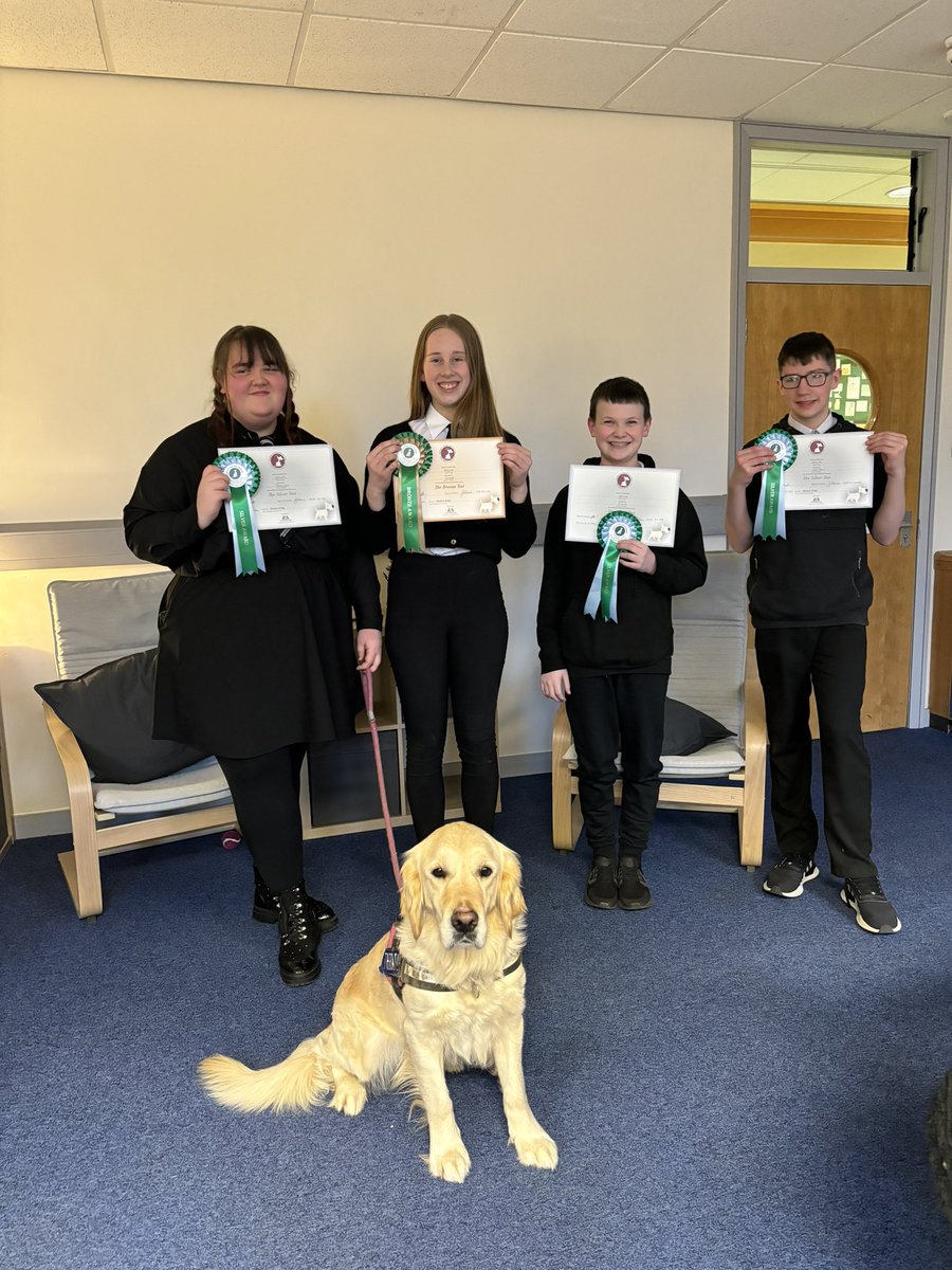 Bella the Therapy Dog tweet media