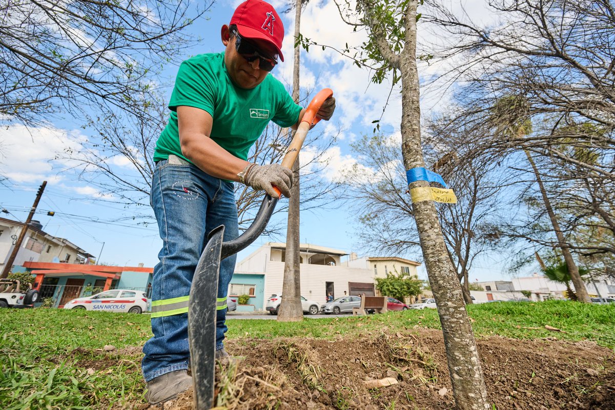 Ternium México tweet media