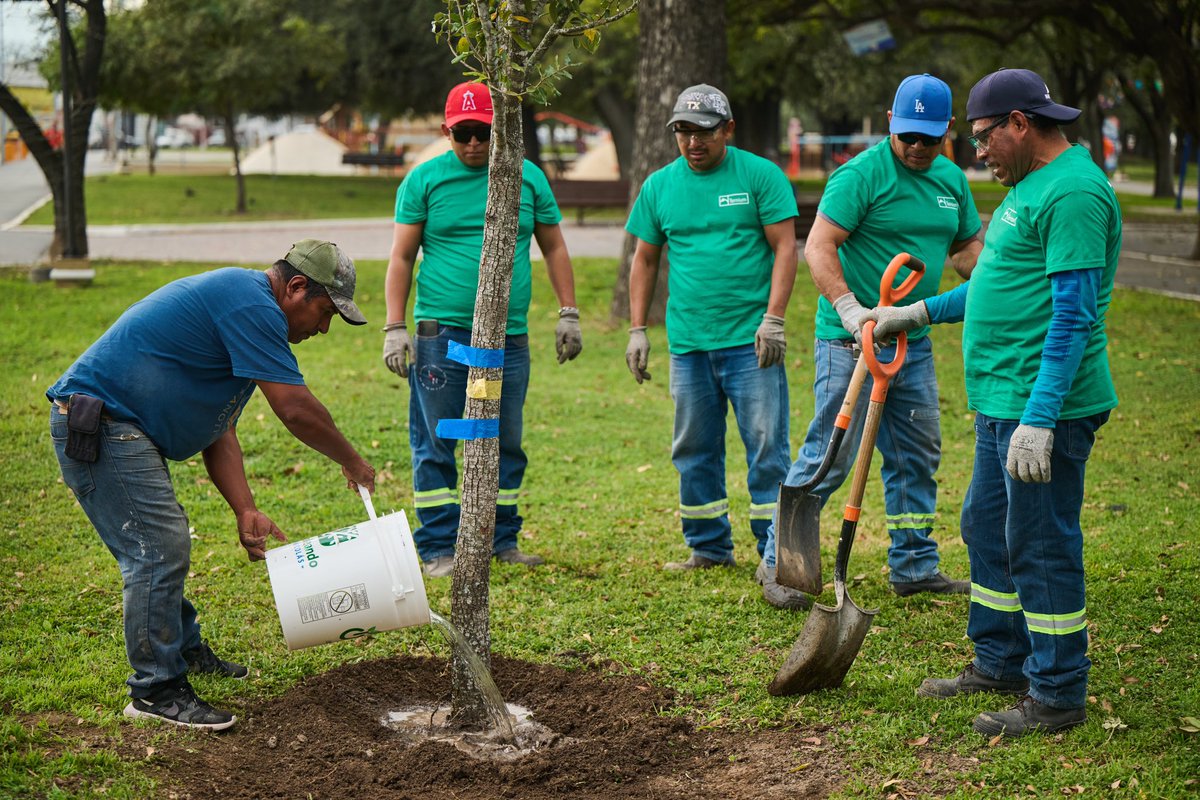 Ternium México tweet media