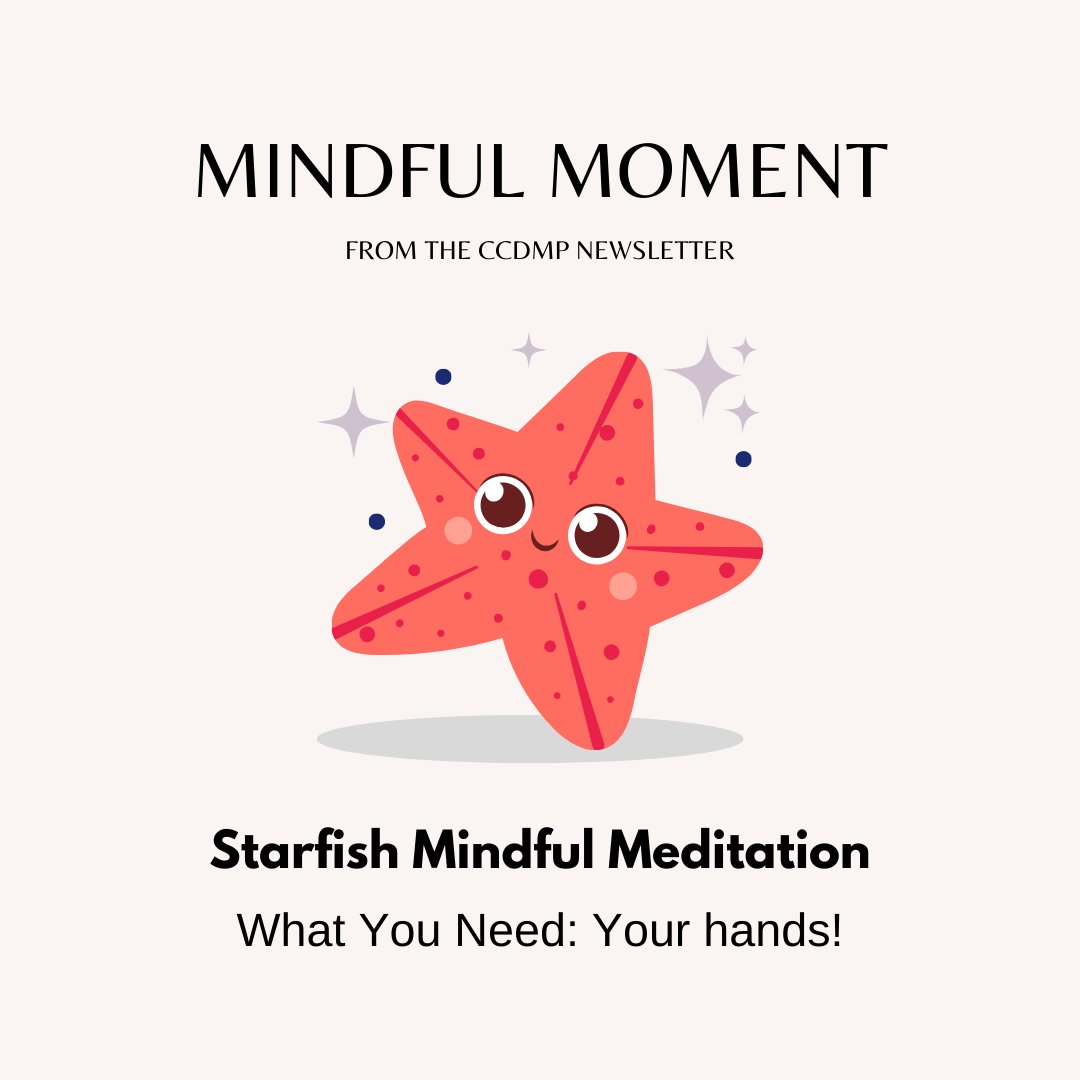 UTM CCDMP tweet media