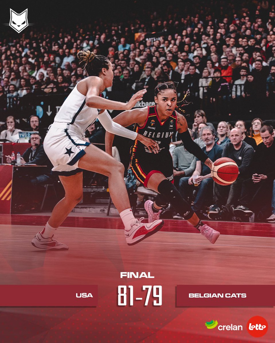 Belgian Cats tweet media