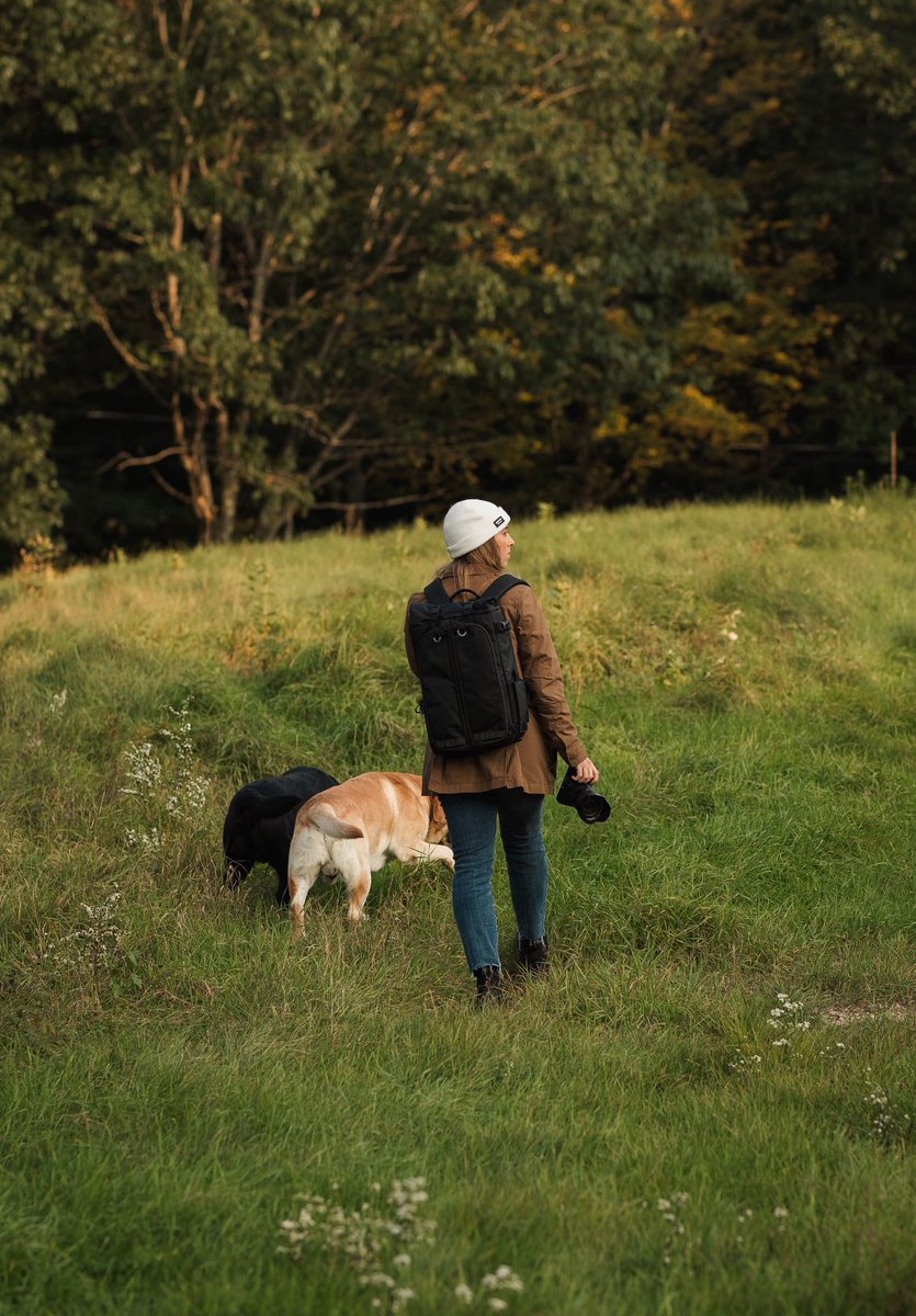 Gura Gear tweet media