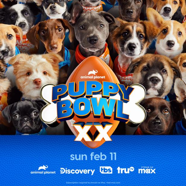 wildtunesmt's tweet photo. It's almost time for the Puppy Bowl! How do you celebrate with your pup? Post a photo of your favorite moment with your furry friend this Sunday and tag us! And let us know if you're #teamruff or #teamfluff! #adoptdontshop #wildtunes #wildtunesbyyuvi #musicforanimals https://t.co/ONDYl0xKih