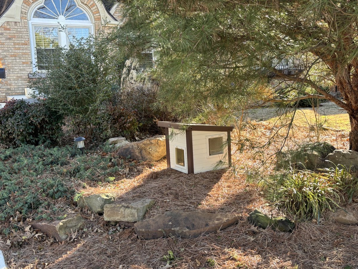 Michael Downes tweet media