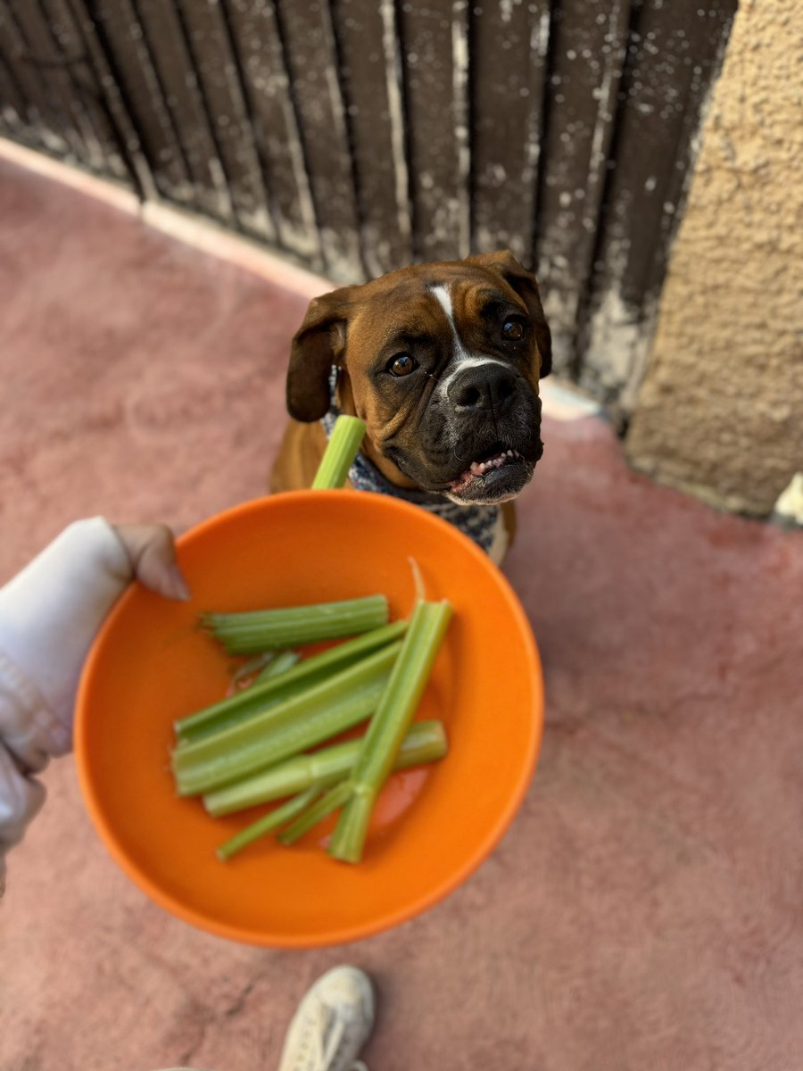 Luz_Salgado19's tweet photo. Romantizar el comer verduras, claro que si 🤪 https://t.co/IMdnPZLB1F