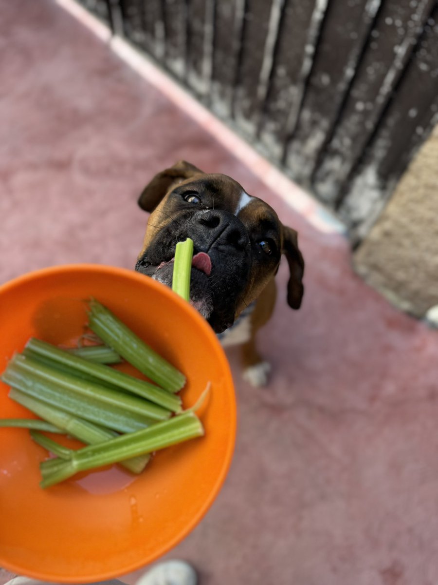 Luz_Salgado19's tweet photo. Romantizar el comer verduras, claro que si 🤪 https://t.co/IMdnPZLB1F