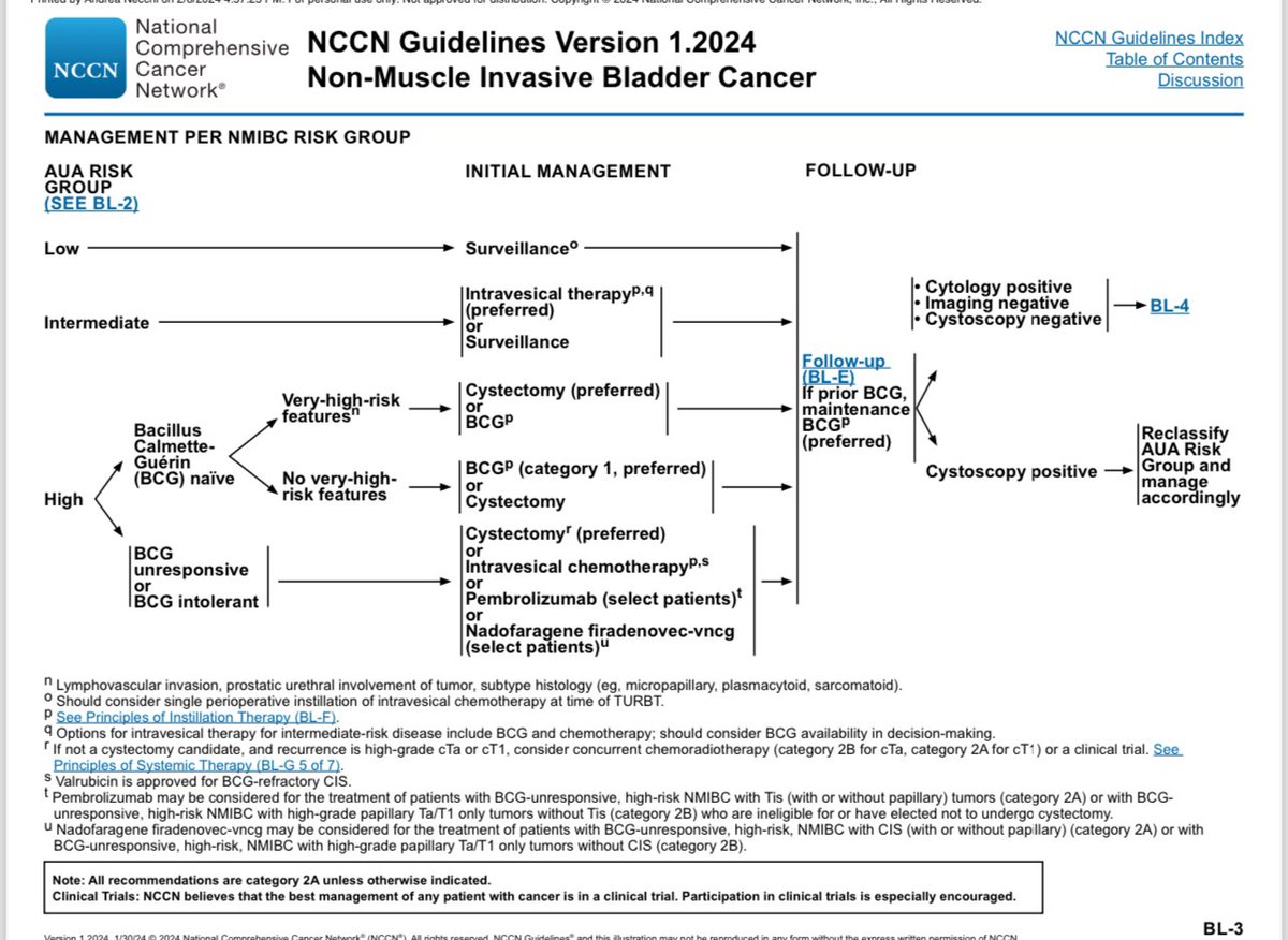 @NCCN #bladdercancer Guidelines 2024 now include pembrolizumab as a therapeutic option for pts with BCG-unresponsive Ta/T1 papillary tumors without Tis. Based on the results of Keynote-057 Cohort-B trial @CMercinelli @vale_tateo @Anto_cigliola @urotoday @UroDocAsh @PGrivasMDPhD