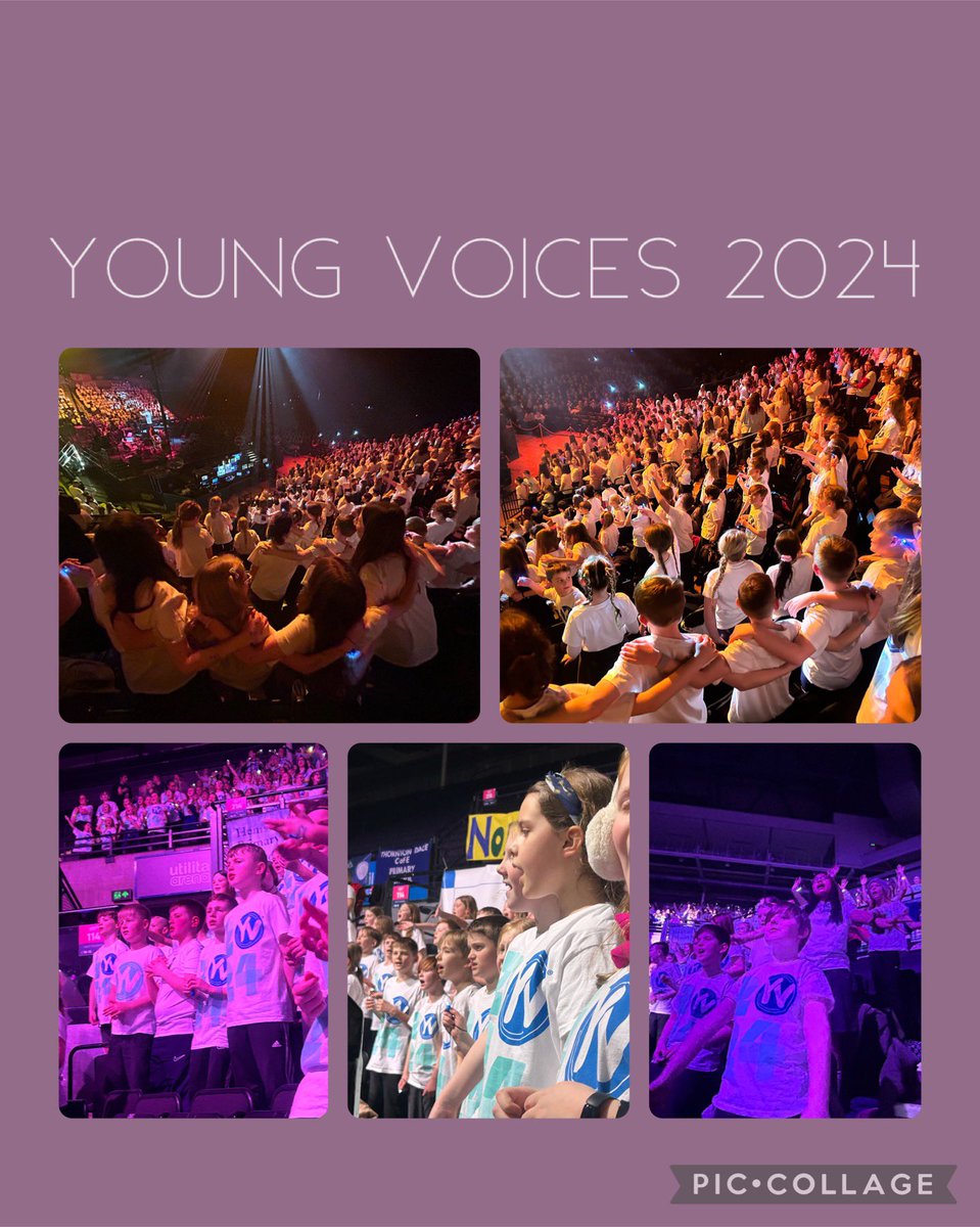 We’ve all had such an amazing night at @YVconcerts. We can’t wait for next year! @WilberfossPS @MrsR_WFoss @MrsP_WFoss @MrsK_WFoss @MrH_WFoss #wpscurricululm #music #wpssmsc #yv24