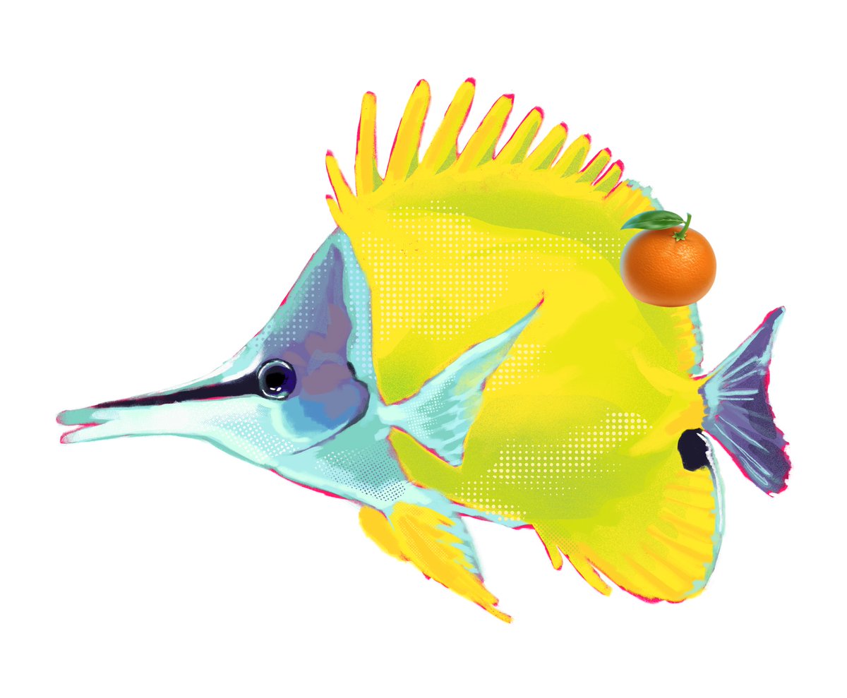 chengerines's tweet photo. if you donate in the bronze tier (20-40 USD) i'll paint you a sticker-style transparent illustration of a fish, flower, bug, or other small critter perfect for stickers or t-shirts like the ones below! https://t.co/O3jBdxWrDH