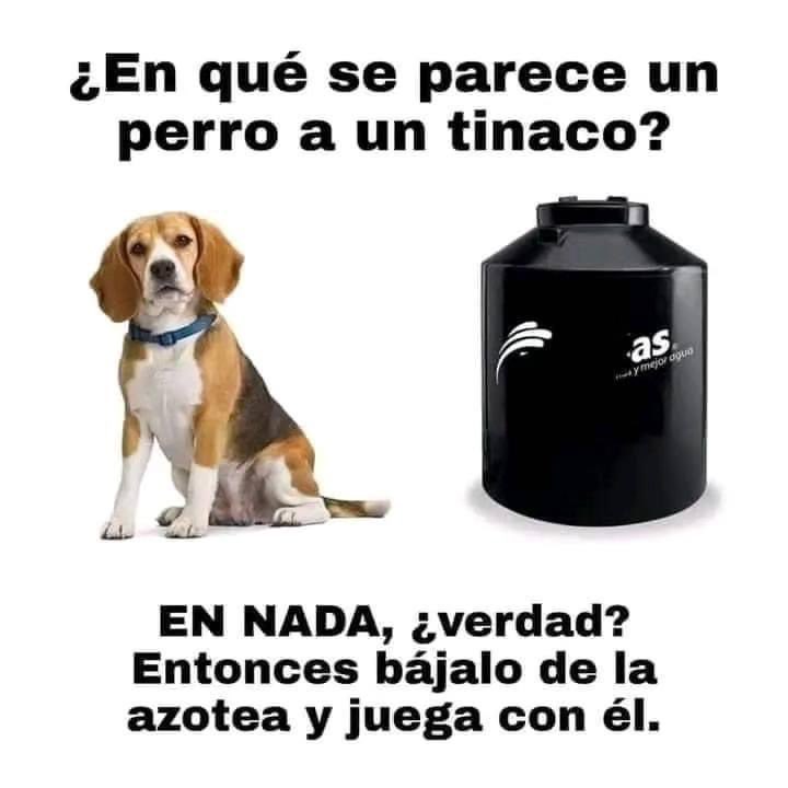 Enséñame de Ciencia (@ensedeciencia) on Twitter photo 