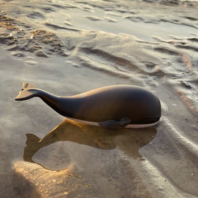 Bin dann mal weg für ein paar Tage … Einmal Nordseeluft schnuppern und mir frischen Wind um die Nase wehen lassen 🌊🐚💕
Pakete 📦 werden dann wieder ab 20. Februar verschickt. Ich hoffe, Ihr habt alle schon Eure Geschenke für den Valentinstag 💝.
#nordseeliebe #geschenkestern