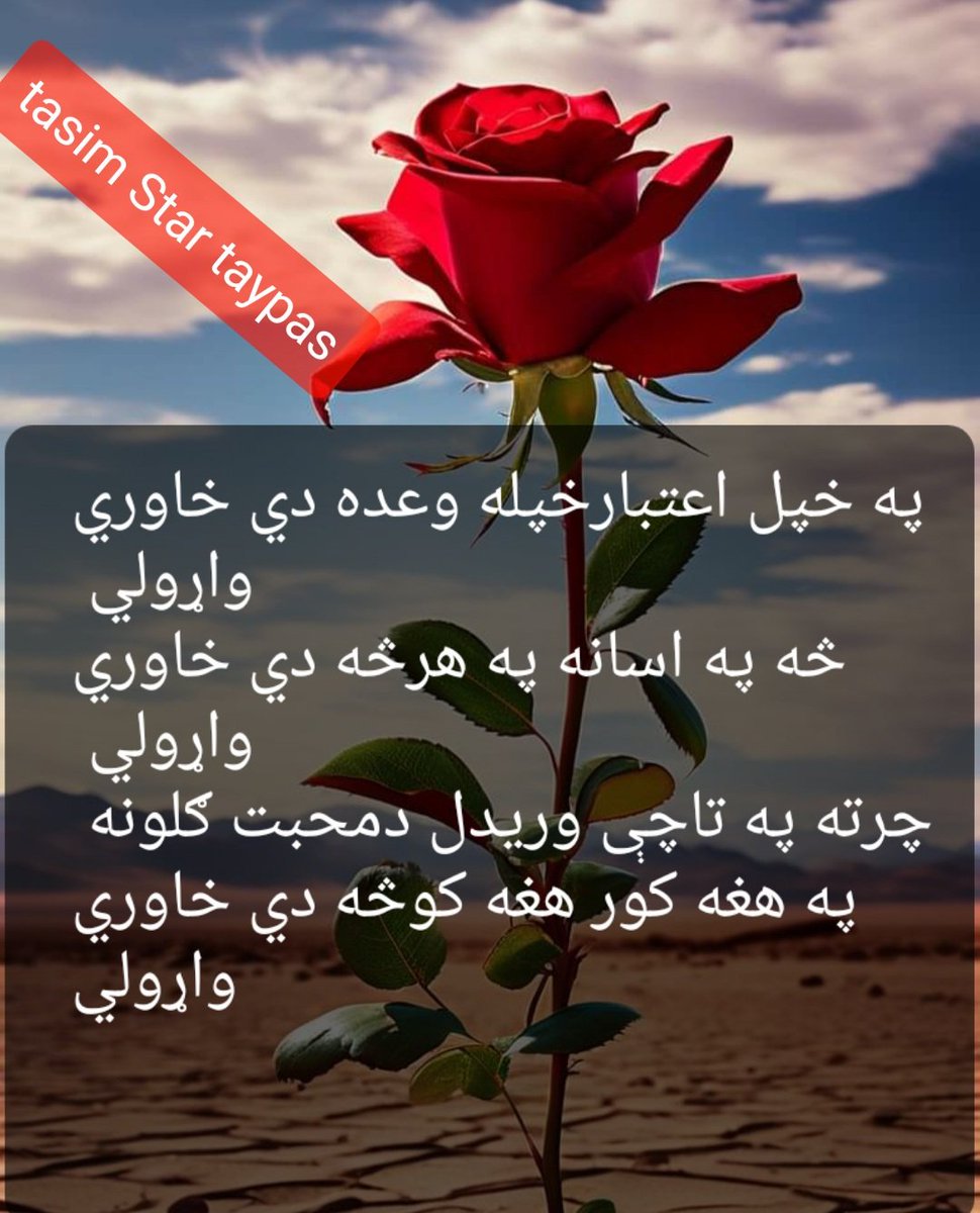STAR_3113's tweet photo. @Afghani_girl_16 @AfghanMivz @allmas20765690 @Islamic_Gallary @smiler7072 https://t.co/MMvqALYDqc