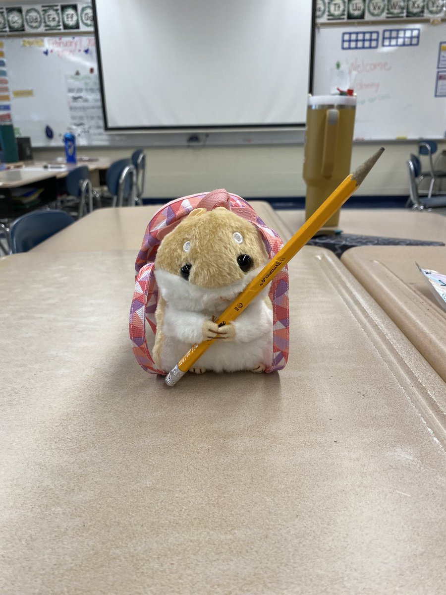 Miss Strout (@miss_strout_) on Twitter photo Humphrey is all packed up and ready to go on his adventures with each of our students! We can’t wait to hear about what each child does with their night home with Humphrey 🐹💙 <a href="/DonovanSchool/">Laura Donovan School</a> <a href="/LDS_JWoetko/">Juliana Woetko</a> Humphrey is all packed up and ready to go on his adventures with each of our students! We can’t wait to hear about what each child does with their night home with Humphrey 🐹💙 <a href="/DonovanSchool/">Laura Donovan School</a> <a href="/LDS_JWoetko/">Juliana Woetko</a>