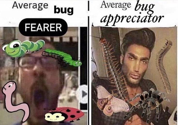 thesoggiest's tweet photo. are you an

   Average 𝗯𝘂𝗴        or       𝐀𝐯𝐞𝐫𝐚𝐠𝐞  𝒷𝓊𝑔
       FEARER                     𝓪𝓹𝓹𝓻𝓮𝓬𝓲𝓪𝓽𝓸𝓻 https://t.co/xs04VlVu1B