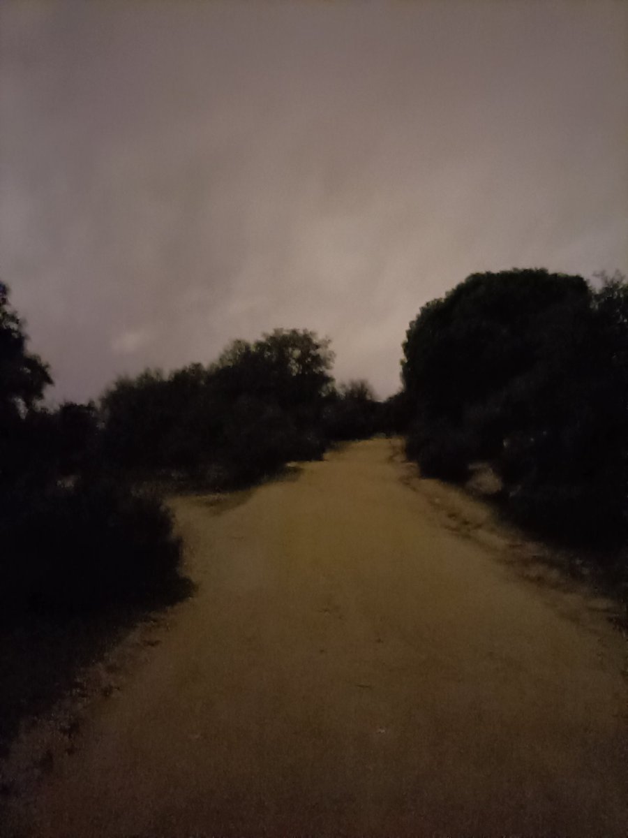 OrtizSAbogados's tweet photo. "Quien no haya desafiado el miedo, la razón, la conveniencia, nunca sabrá quién es. Ni sabrá lo que pudo ser su vida "

José María Parreño: "Las guerras civiles"

#trailrunning #majadahonda #josemariaparreno #casadecitas #leccionesdecosas https://t.co/JtZVq1Rjj3
