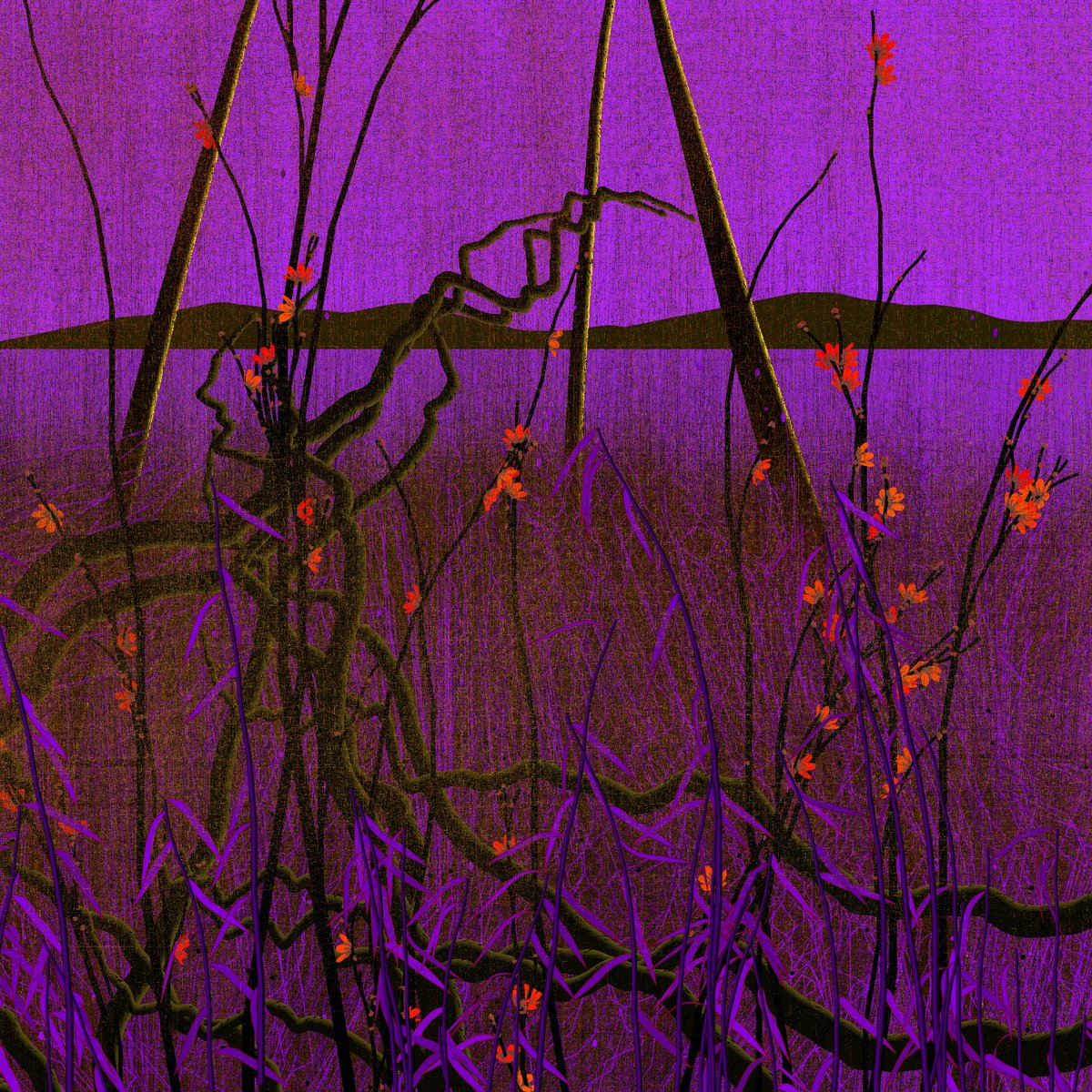 ten twentythree 🔮 tweet media