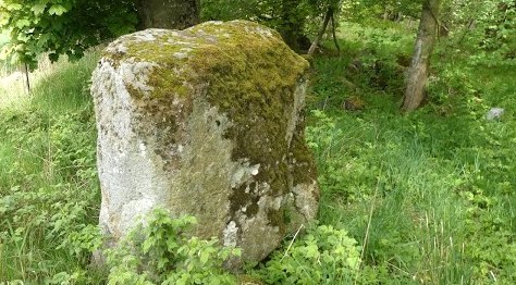 tourscotland's tweet photo. As requested tonight, Tour #Scotland 4K travel video Blog of the Pictish #Standing #Stone on history visit and trip to woodlands at #Craigmakerran, #Perthshire The #Picts were a confederation of #Celtic speaking peoples https://t.co/EXiEcXmkdV https://t.co/fKKDAuXjIx