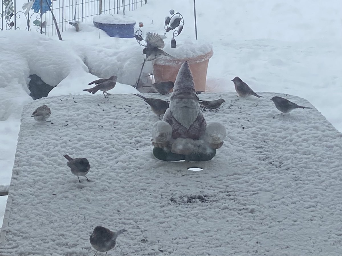 upideedoo's tweet photo. Winter Smorgasbord https://t.co/VfkGDFs5cg