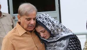 "وڑنا اس کو کہتے ہیں"