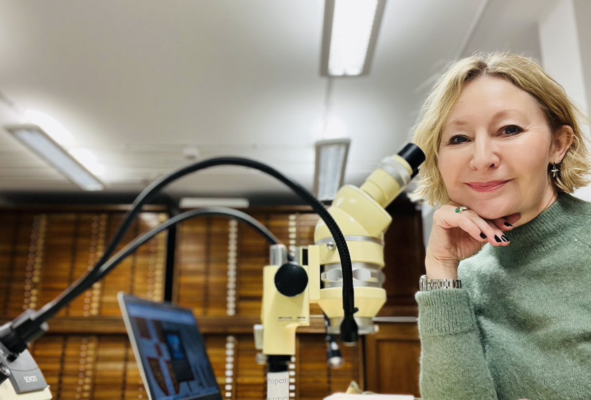 Beulah Garner tweet media