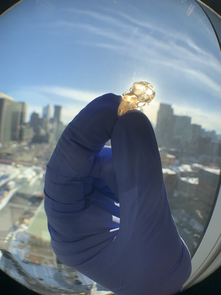 Holt_LewisRhys's tweet image. Fish-eye science #1 - 3D printed skull Mus musculus
