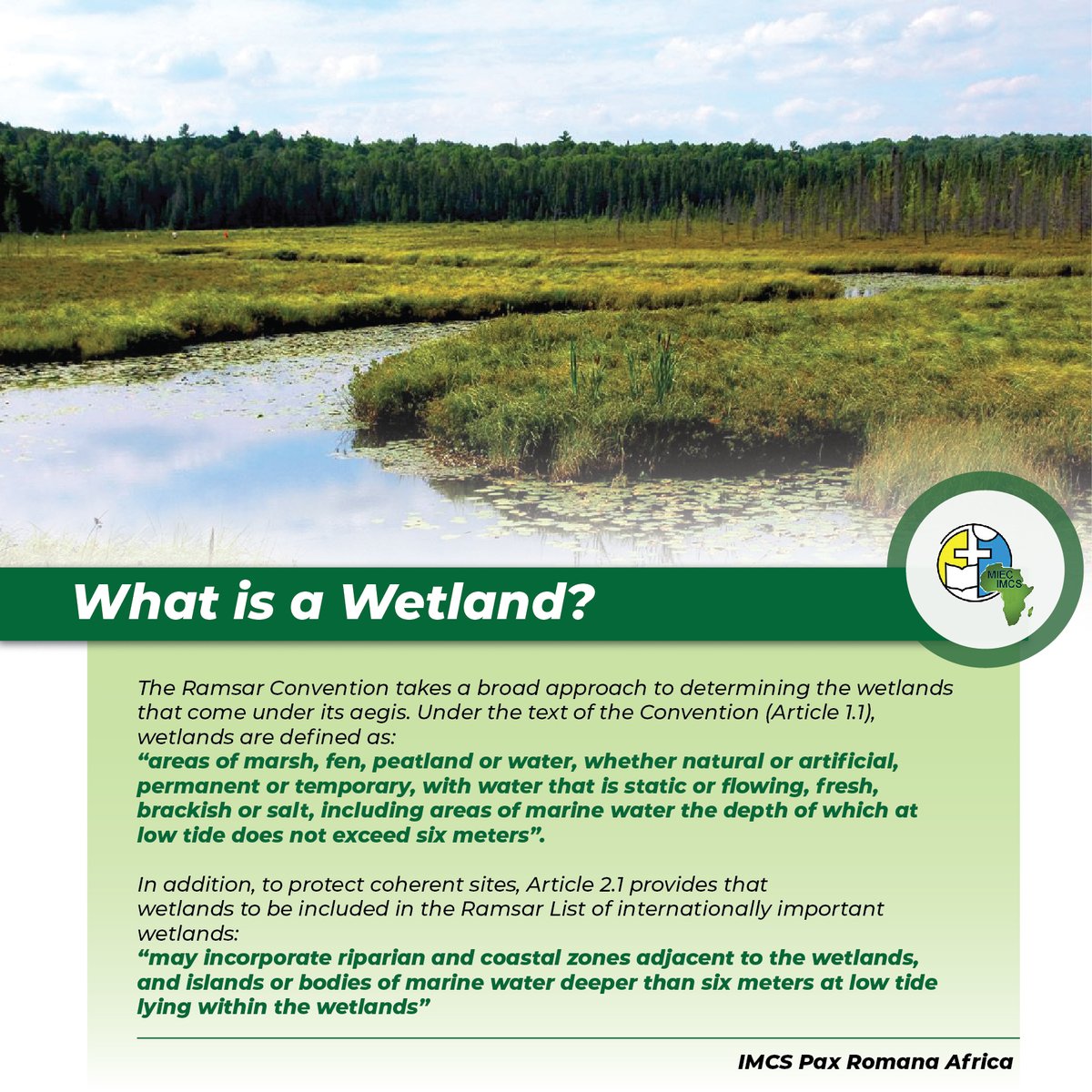 IMCS_AFRICA's tweet photo. What is a WETLAND?

Here is the definition of a wetland according to the Ramsar Convention on Wetlands of International Importance Especially as Waterfowl Habitat (the Convetion on Wetlands) 1971. https://t.co/iUiwyZ4saO