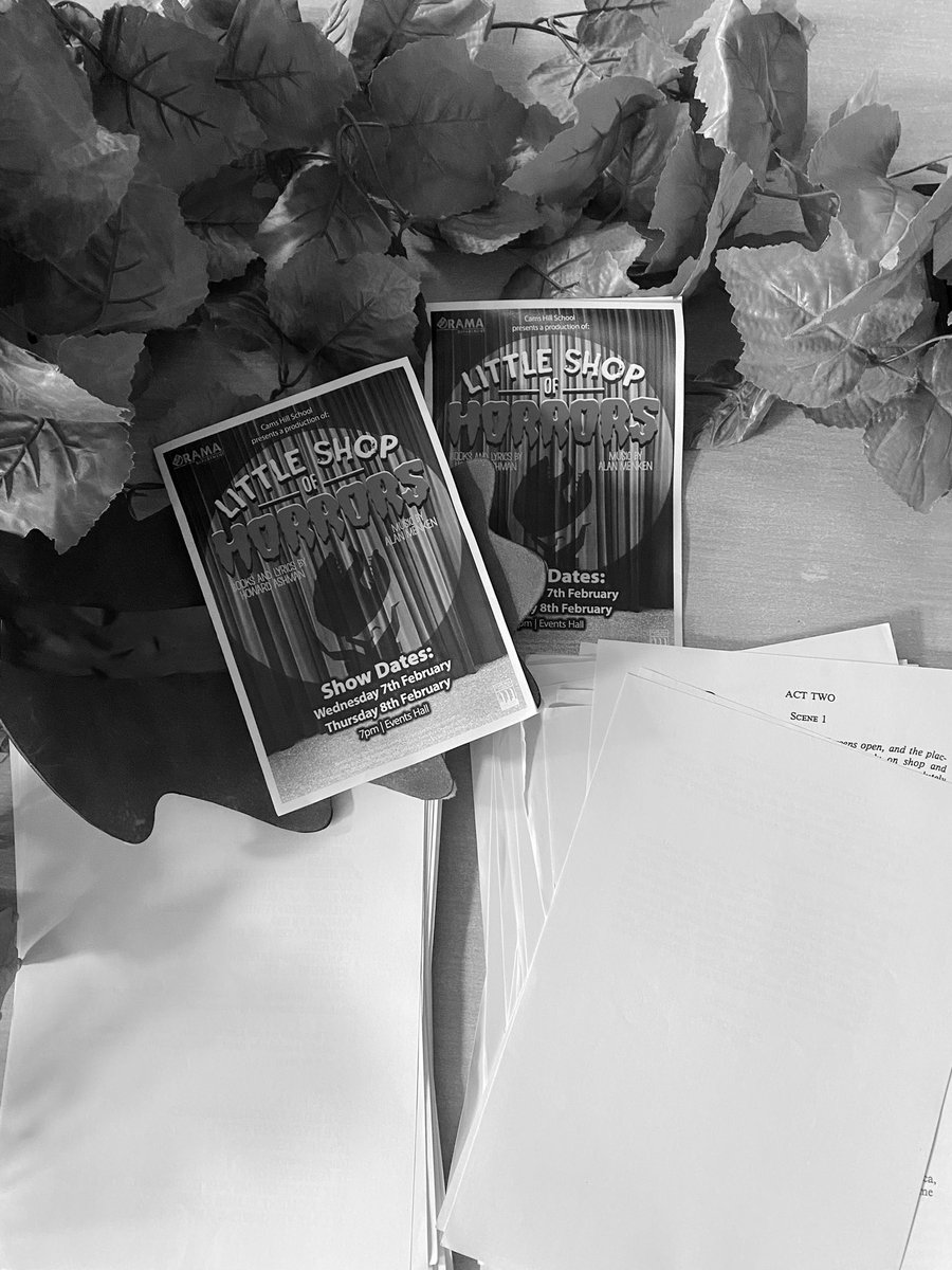 WHAT A FINAL NIGHT.
So so so proud of our wonderful cast and crew. 💚💚💚💚
More photos coming soon👀👀
so sad already😭