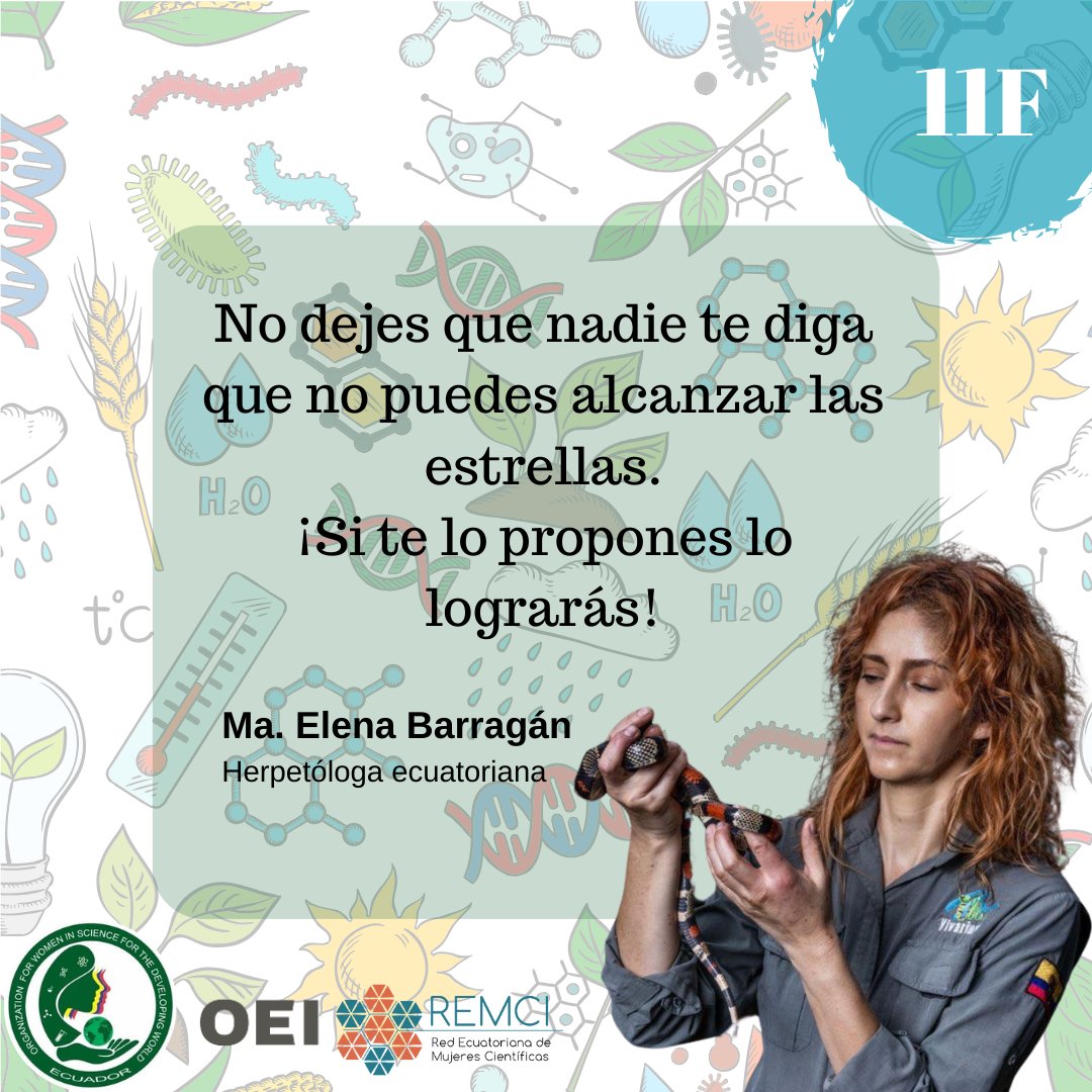 Buen momento para recordar el legado de las mujeres pioneras en la ciencia y su lucha por la igualdad de oportunidades en este campo.
<a href="/OEIEcuador/">OEI Ecuador</a> <a href="/CientificasEC/">👩🏽‍🎓CientíficasEcuador🇪🇨</a> <a href="/ciespal/">CIESPAL</a> <a href="/OwsdSecretariat/">Org. for Women in Science for the Developing World</a> <a href="/Nobisch/">María Elena Barragan</a> #11F #MujeresEnCiencia #diadelamujerylaninaenciencia #MujeresCientificas
