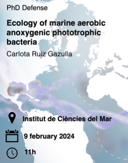 📢Tomorrow @CarlotaRGazulla will present her PhD Defense 👩‍🎓at the @ICMCSIC at 11:00h. If you want to follow it online, we can send you a link by DM. @UABBarcelona @EMM_Barcelona @epra_ieo @IEO_Malaga