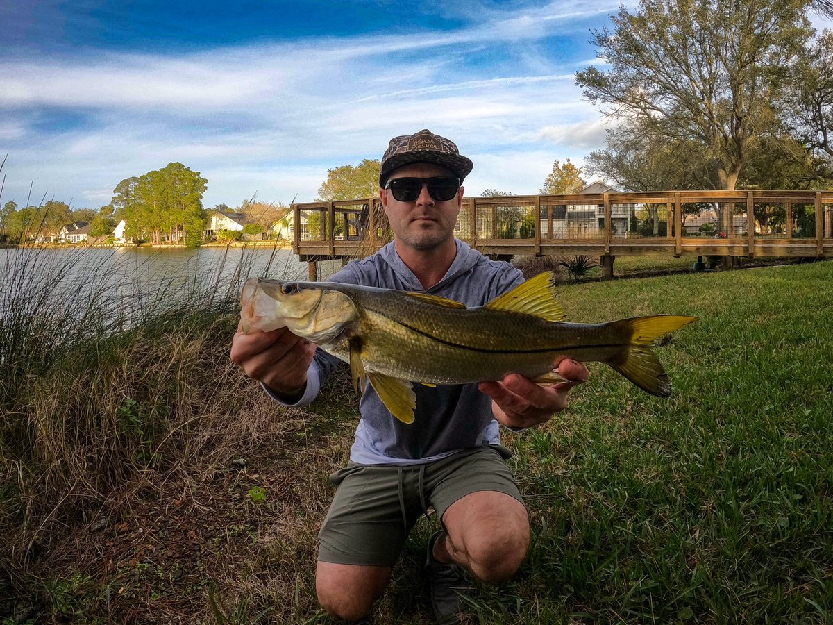 Vogt20's tweet photo. Snook on a Rat-L-Trap will never get old 😎 @GoPro @FL_Sportsman @BillLewisLures
#WillVogtPhotography #GoPro #JaxBeach #Fish #Snook #Bass #BillLewis #RatLTrap #Florida #Fishing https://t.co/mXswOQ2usS
