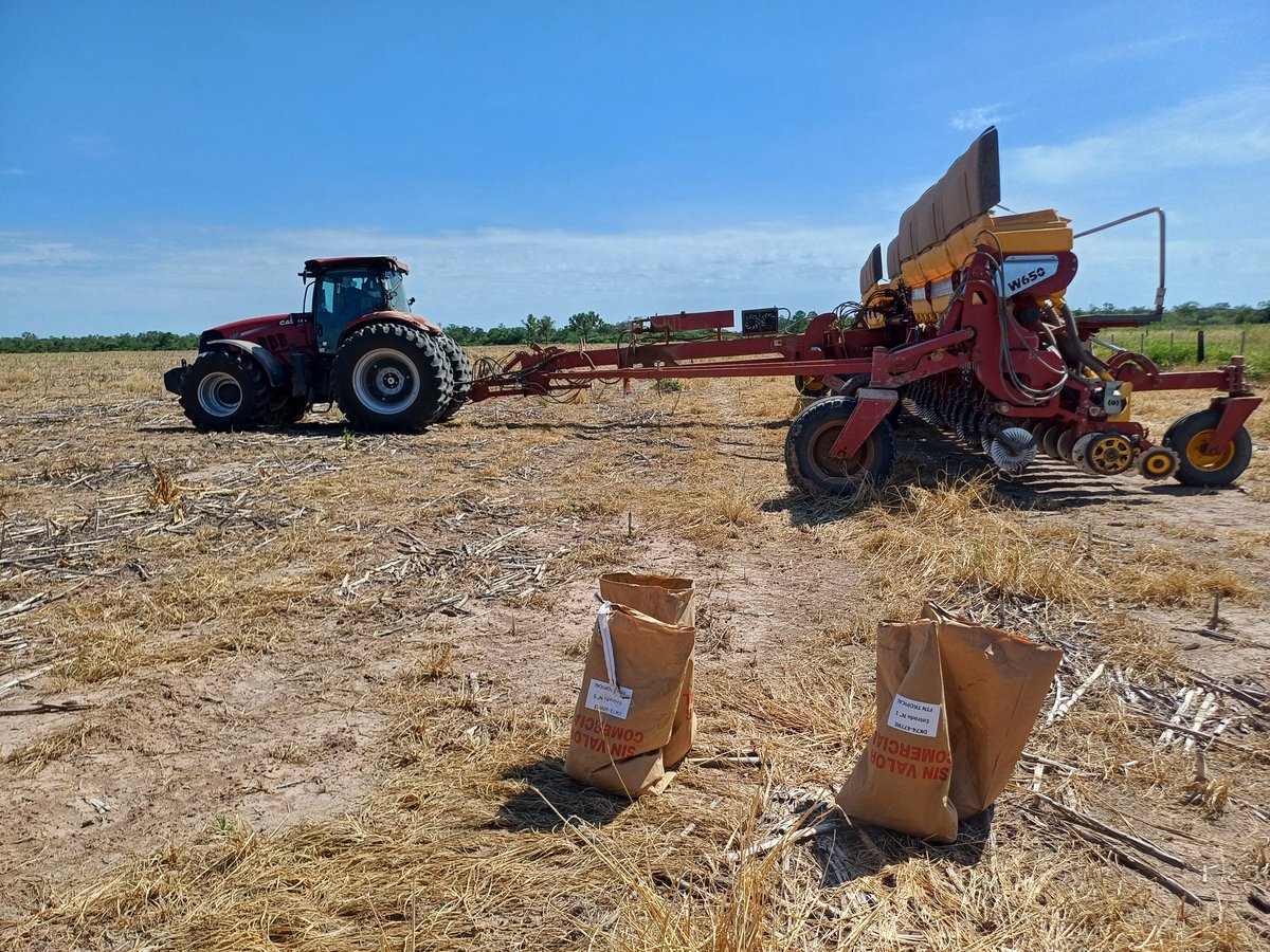 jlomitas's tweet photo. Quedo lista la siembra del ensayo de Maíz 🌽 🌽 🌽  de @AgroBayerAR @Bayer4Crops en Los Chiriguanos, Formosa.  19 híbridos se medirán bajo las condiciones del extremo oeste Formoseño.  Gran info para analizar en unos meses. El potencial de Formosa es tremendo 🌽🌽💪💪💪💪 https://t.co/1Cdxs6p0TK