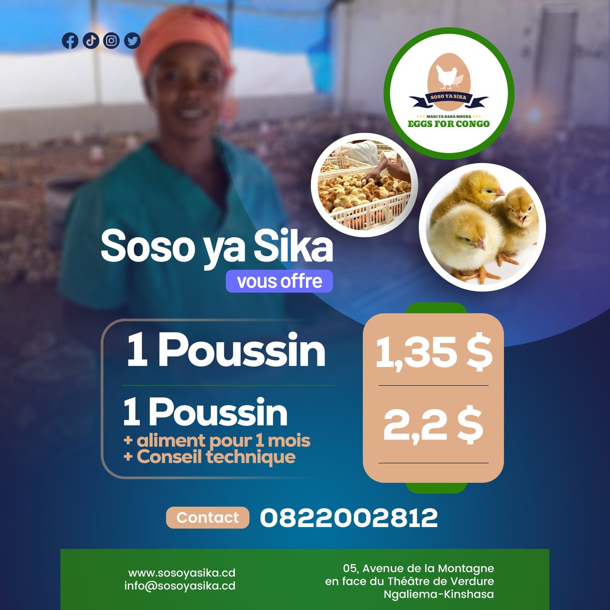 Eggsforcongo's tweet photo. Les poussins SASSO de 1 jour arrivent le 20 février !
N'attendez pas pour passer votre commande ! 📷
Ils sont disponibles en quantité limitée, alors ne tardez pas !
Pour commander, contactez-nous au 0822002812
#poussins #1jour #SASSO #Belgique #EggsForCongo https://t.co/SutnALwpYh