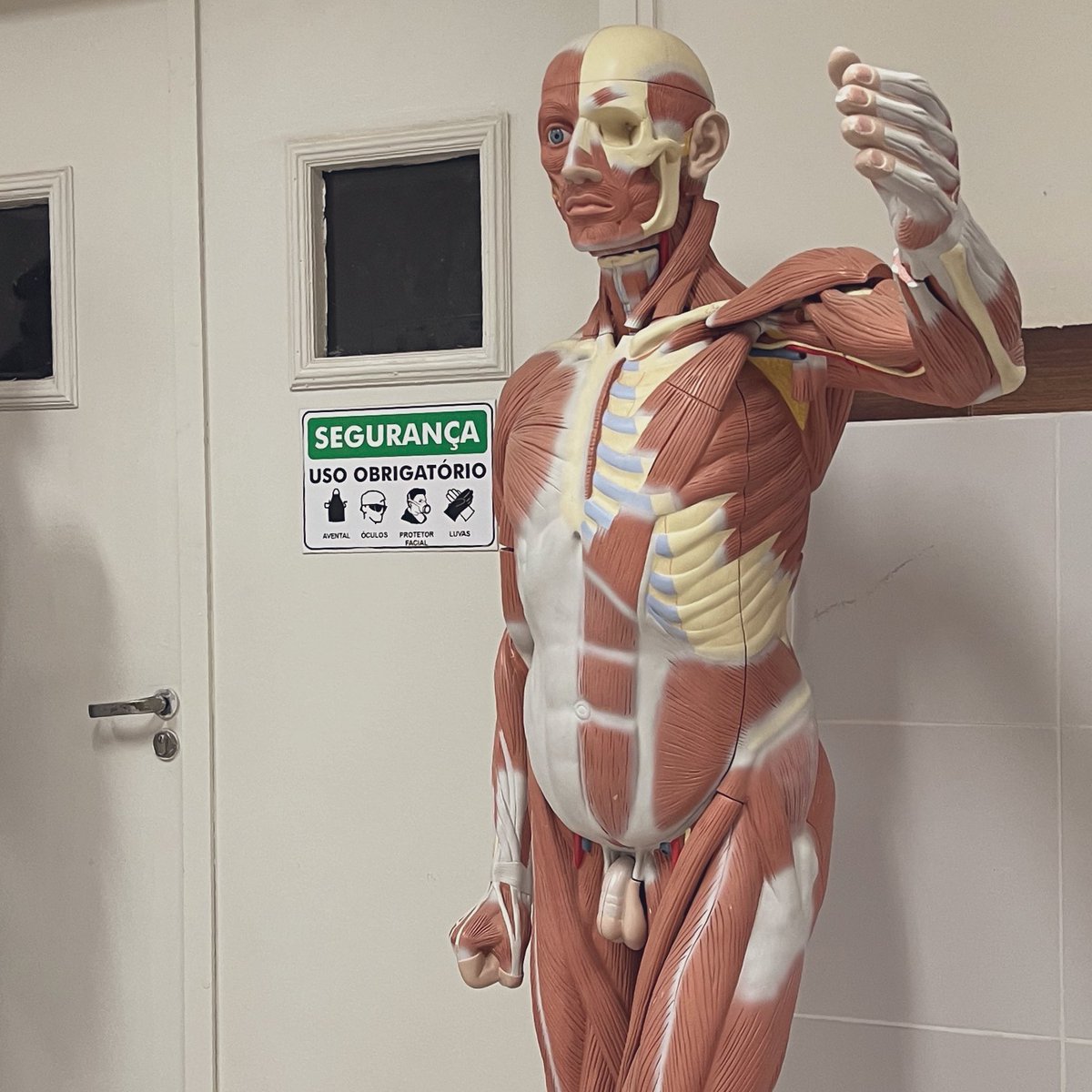 lumstudyx's tweet photo. hoje tive aula em laboratório sobre histologia, vou estudar sobre embriologia também, amanhã tenho apg sobre o coração e o carnaval vai ser todo para esses aprendizados. TÔ MUITO FELIZZZ https://t.co/FulgLRsry9